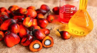 Hausse des prix au Sénégal : l'huile de palme augmenté