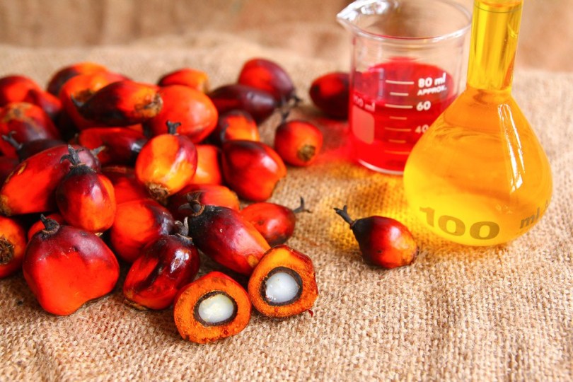 Hausse des prix au Sénégal : l'huile de palme augmenté