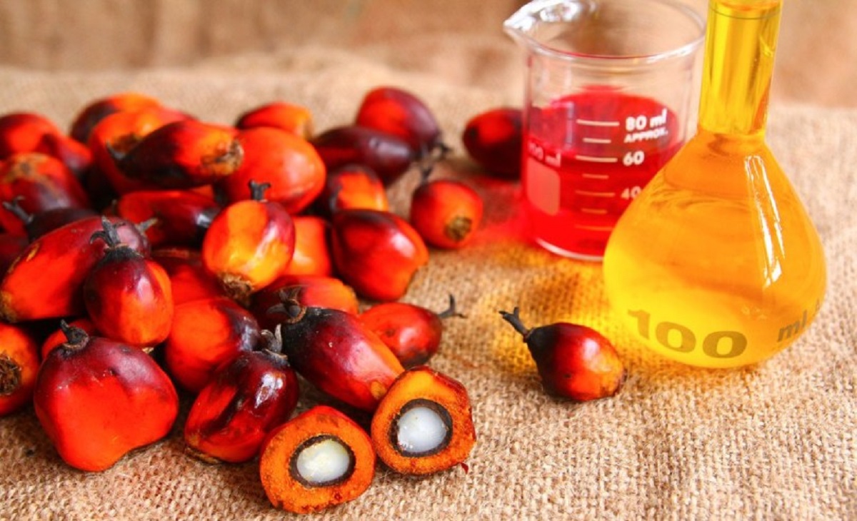 The palm oil in Senegal is on the rise