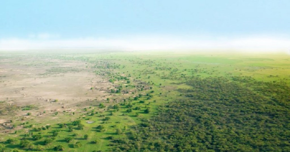 Projet de grande muraille verte en Afrique : où en est-on ?