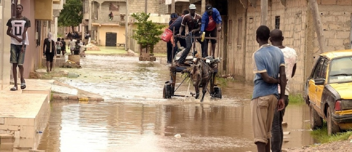 Fortes Pluies au Niger : plus de 16 000 sinistrés et des nombreux dégâts matériels