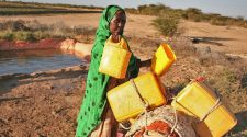 Changements climatiques en Afrique : « Une question de vie ou de mort interpelle » Lee White