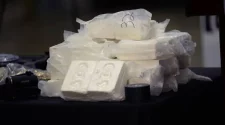 Trafic de drogue : la douane sénégalaise réalise sa plus grosse saisie de cocaïne
