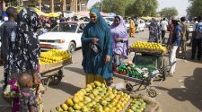 Niger : Comment les sanctions internationales affectent-elles l'économie ?